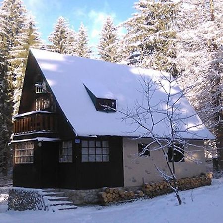 Enchanted Forest Chalet Tatranska Strba Dış mekan fotoğraf