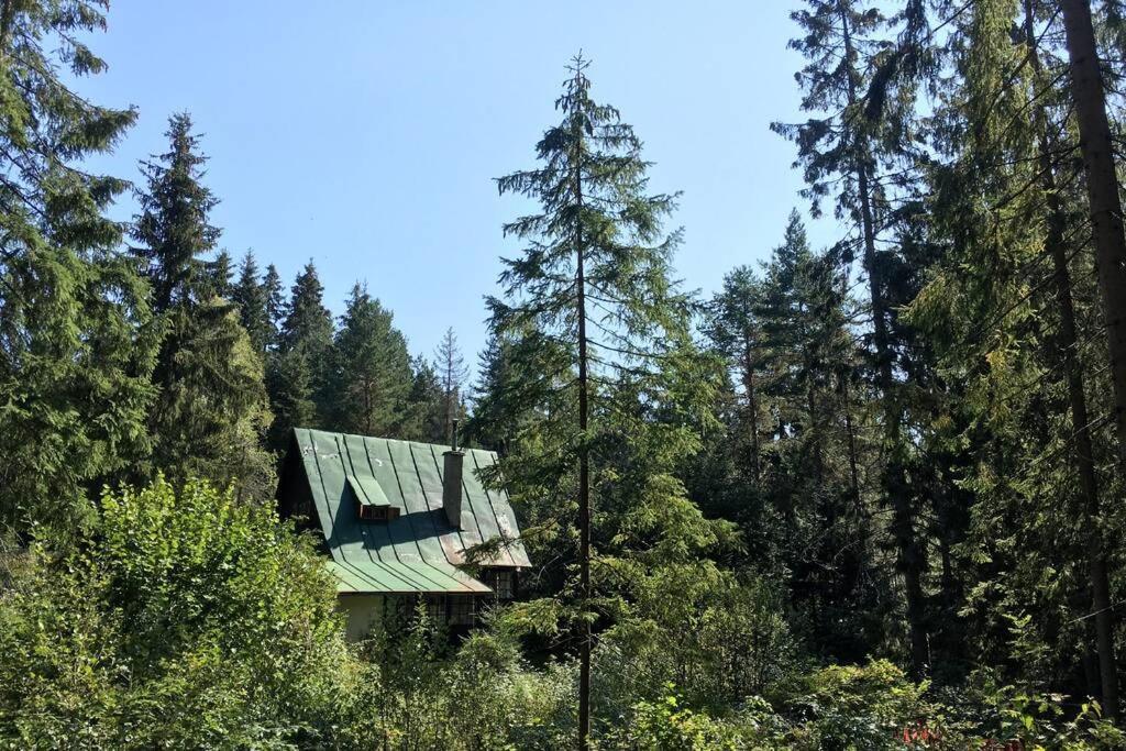 Enchanted Forest Chalet Tatranska Strba Dış mekan fotoğraf