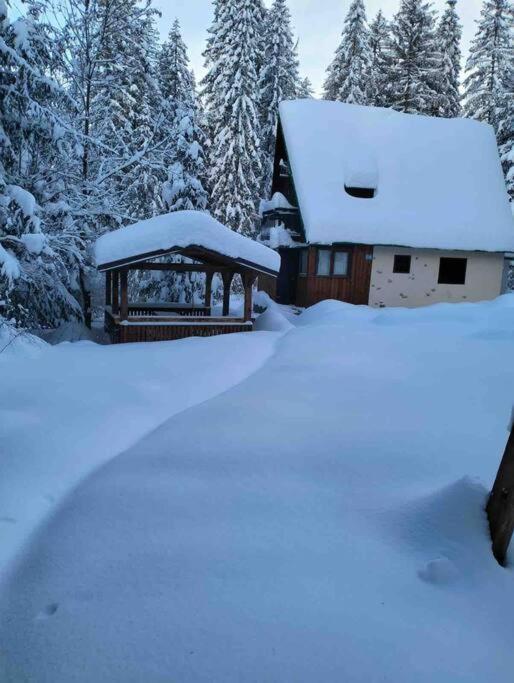 Enchanted Forest Chalet Tatranska Strba Dış mekan fotoğraf