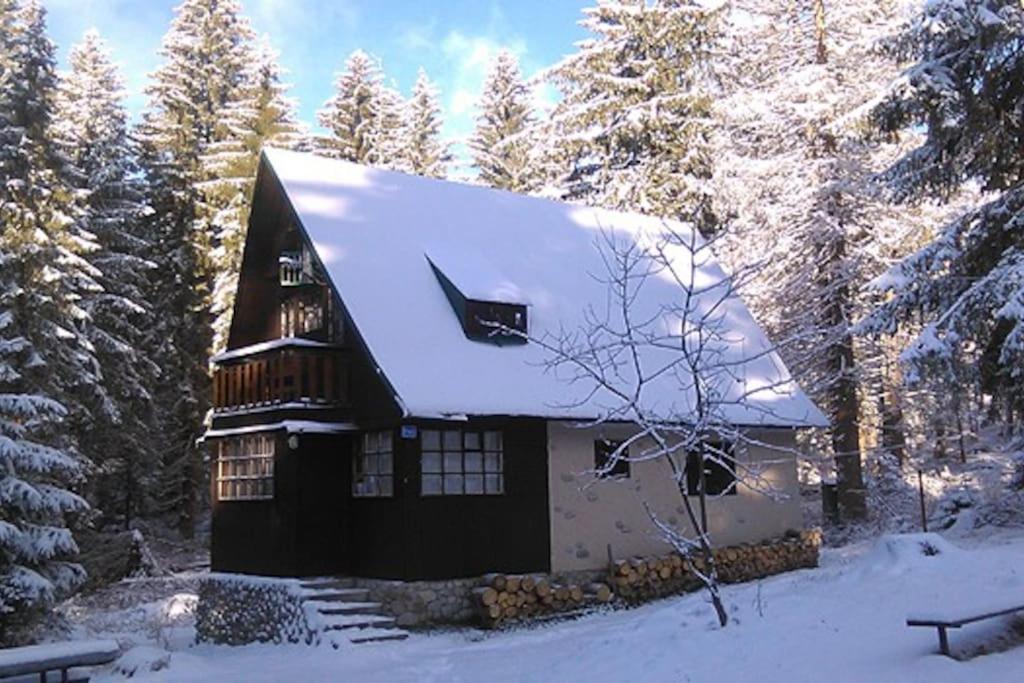 Enchanted Forest Chalet Tatranska Strba Dış mekan fotoğraf